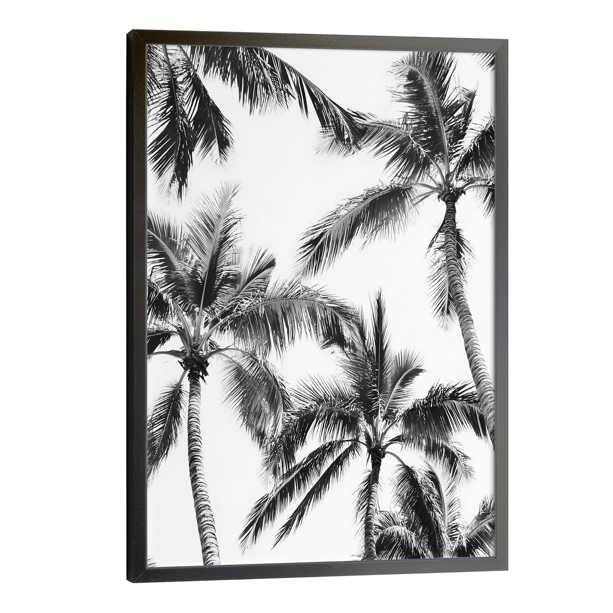 LA Boulevard Mono Poster