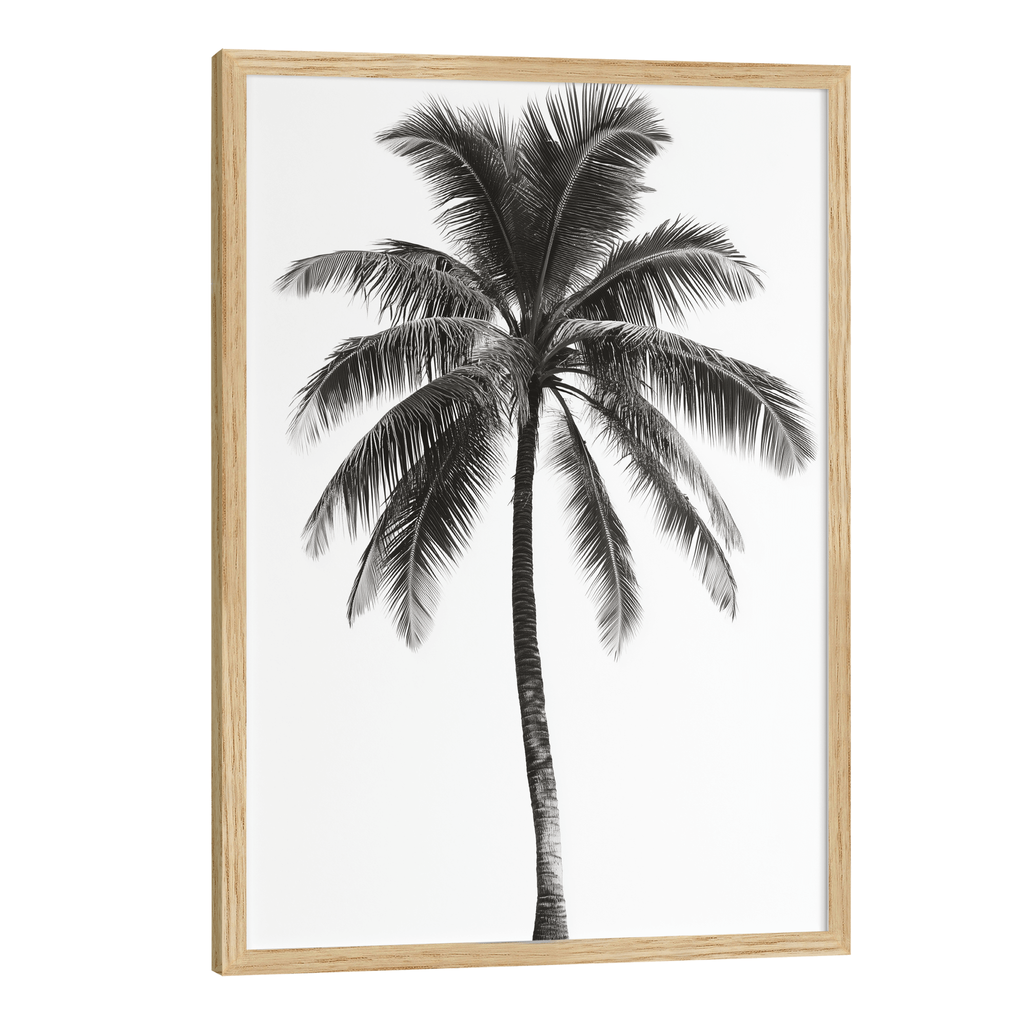 LA Palm Mono Poster