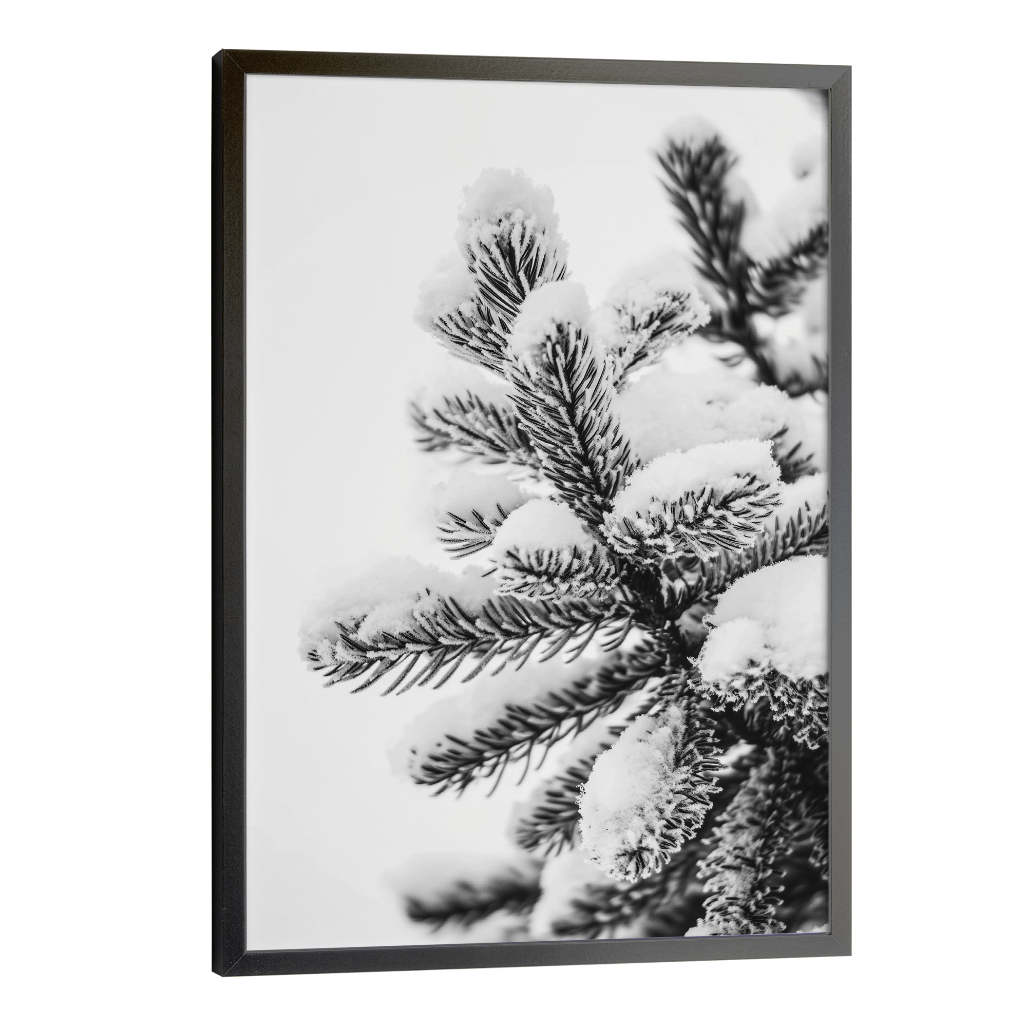 Polar Pines No.2 Poster
