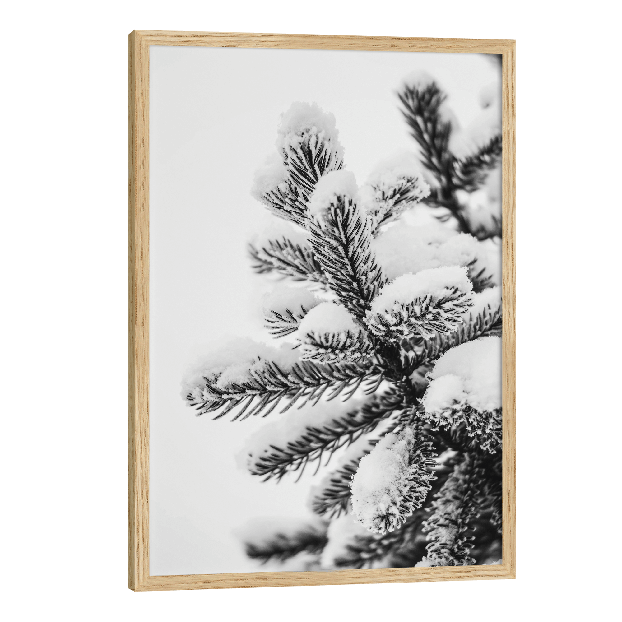 Polar Pines No.2 Poster