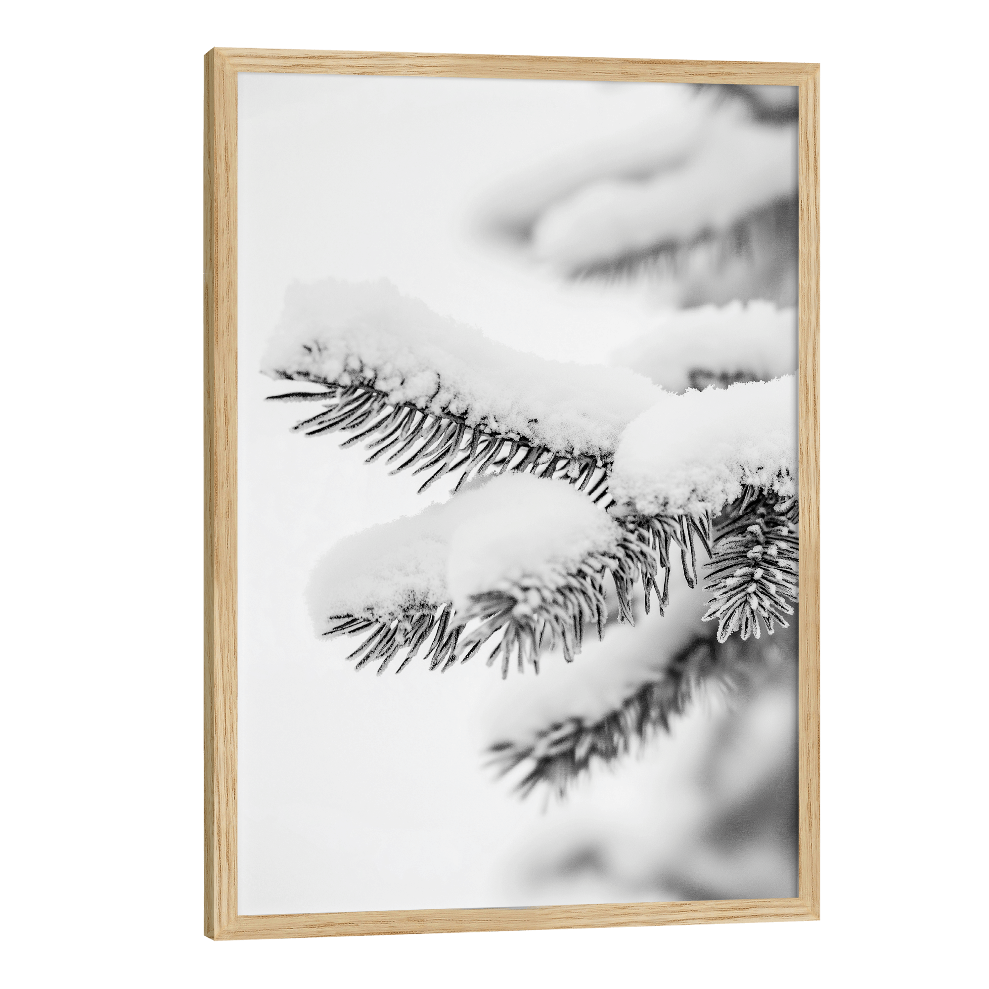 Polar Pines Poster