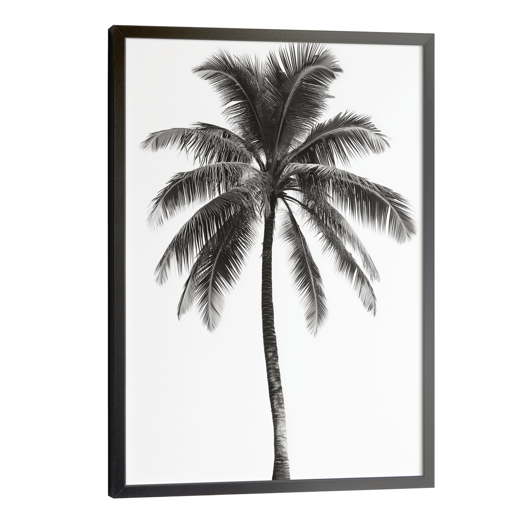 LA Palm Mono Poster