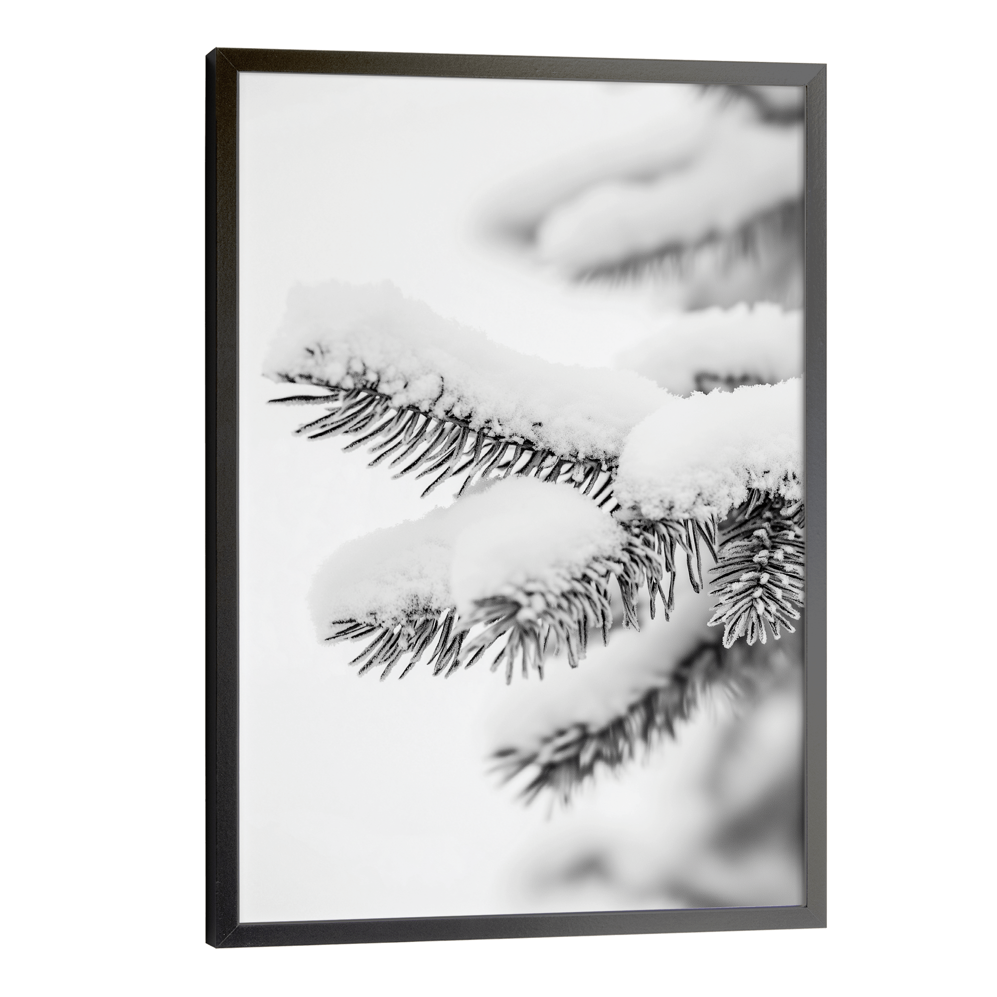 Polar Pines Poster